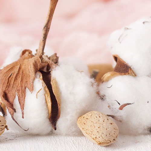 How To Wash Your Egyptian Cotton Bedding