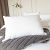 Goose Down Hotel Suite Pillows